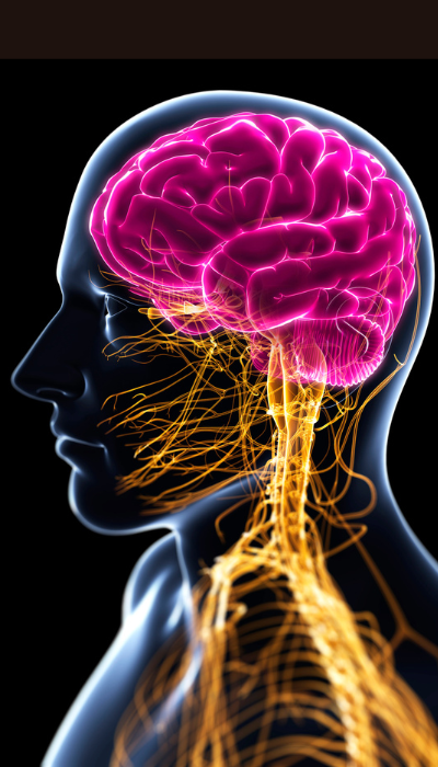 especialista en operacion de tumor cerebral villahermosa
